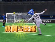 竞猜-NBA赛事五佳球(nba五佳球视频素材)