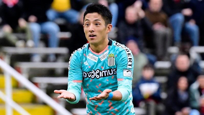 竞猜首页-索莱尔数据(percoll索莱宝)